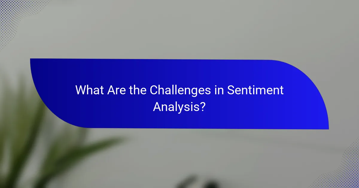 What Are the Challenges in Sentiment Analysis?