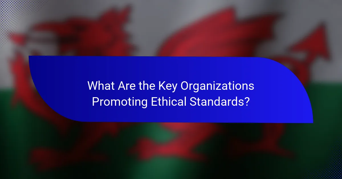 What Are the Key Organizations Promoting Ethical Standards?
