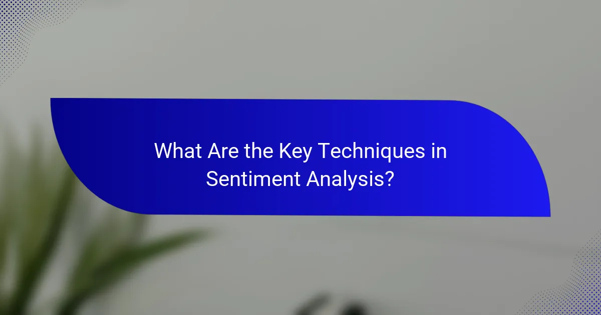 What Are the Key Techniques in Sentiment Analysis?