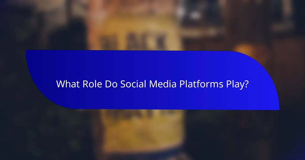 What Role Do Social Media Platforms Play?